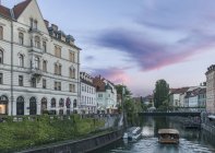 Будинки та пішохідний міст через міський канал, Любляна, Центральна Словенія, Словенія — стокове фото