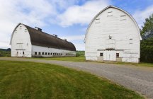 Old barns on farm, Olympia, Washington, Estados Unidos - foto de stock