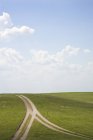 Відгалужена ґрунтова дорога у віддаленому горбистому пейзажі — стокове фото
