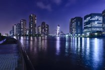 Siluetas de los rascacielos de Tokio iluminados en el paisaje urbano por la noche, Tokio, Japón - foto de stock