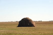 Большая стога сена в сельской местности — стоковое фото
