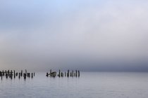 Pólos de madeira no oceano sob céu nublado — Fotografia de Stock