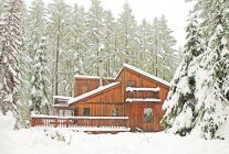 Cabaña de madera moderna en bosque nevado con árboles cubiertos de nieve - foto de stock