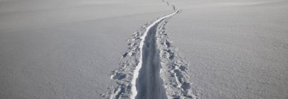 Close-up of ski track in white fresh snow landscape — Stock Photo