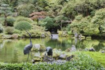 Kranich-Statuen am Teich im japanischen Garten, Portland, Oregon, Vereinigte Staaten — Stockfoto