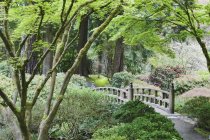 Holzbrücke im japanischen Garten, Portland, Oregon, Vereinigte Staaten — Stockfoto