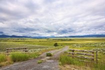 Брудна дорога в полі в сільському ландшафті під мальовничими хмарами — стокове фото