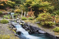Foglie autunnali sui cespugli intorno alla cascata caratterizzano nel giardino paesaggistico — Foto stock