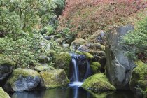 Waterfall and still pool, Portland, Орегон, США — стоковое фото