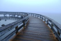 Curving wooden boardwalk in fog, Washington, États-Unis — Photo de stock