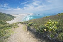 Camino de tierra en la ladera costera, Te Werahi, Cape Reinga, Nueva Zelanda - foto de stock