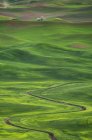 Drain d'irrigation sinueux à travers les collines dans le paysage rural de Palouse, Washington, États-Unis — Photo de stock