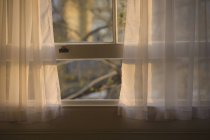 Sheer curtains in open window, close-up — Stock Photo