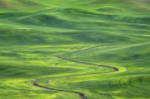 Zanja de riego serpenteante a través de colinas onduladas en el paisaje rural de Palouse, Washington, EE.UU. - foto de stock