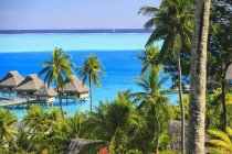 Palmen mit Blick auf tropischen Ferienort, Bora Bora, Französisch-Polynesien — Stockfoto