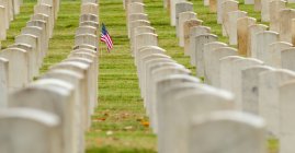 Bandera americana plantada en el cementerio de veteranos, Seattle, Washington, EE.UU. - foto de stock