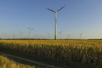 Les éoliennes dans les champs agricoles ruraux — Photo de stock