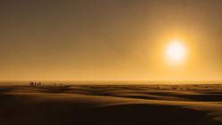Salida del sol sobre arena de playa, Grayland Beach State Park, EE.UU. - foto de stock
