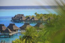 Palmeras con vistas al complejo tropical, Bora Bora, Polinesia Francesa - foto de stock