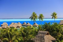 Palme con vista sulla località tropicale, Bora Bora, Polinesia Francese — Foto stock