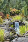 Autumn leaves on bushes around waterfall feature in landscaped garden — Stock Photo