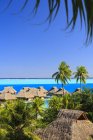 Palmeiras com vista para o resort tropical, Bora Bora, Polinésia Francesa — Fotografia de Stock