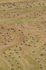 Вид с воздуха на рисунок тюков сена в сельской местности — стоковое фото