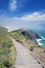 Passi sulle colline costiere, Te Werahi, Capo Reinga, Nuova Zelanda — Foto stock