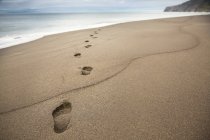 Primo piano delle impronte nella sabbia della spiaggia con acqua di mare — Foto stock
