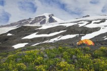 Zelt auf einem Campingplatz in abgelegener Landschaft in Nordkaskaden, Washington, USA — Stockfoto