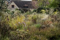 Schema di piantagione prateria in giardino con erba e fogliame autunnale al confine con il giardino in Oxfordshire, Inghilterra — Foto stock
