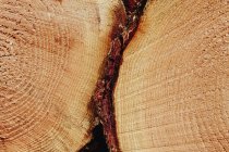 Дерев'яні колоди для пиломатеріалів вирізають деревиною з дерев'яним візерунком . — стокове фото