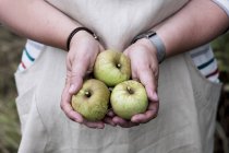 Gros plan des mains féminines tenant trois pommes vertes
. — Photo de stock
