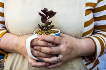 Primer plano de la persona sosteniendo taza de café con planta suculenta . - foto de stock