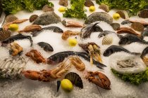 High angle view of selection of fresh fishes and shellfish on ice at market stall. — Stock Photo