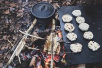 High angle close-up of fish on skewers and freshly made buns over campfire. — Stock Photo
