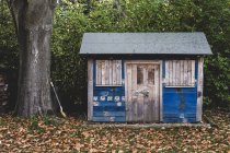 Vista exterior del cobertizo de madera con paredes azules en el jardín, hojas de otoño en el césped . - foto de stock