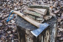 High angle view of hatchet and wooden logs on chopping block. — Stock Photo