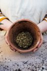 Close-up of person hands holding terracotta plant pot with gravel. — Stock Photo