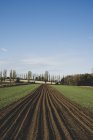 View along freshly ploughed field, poplars and woodland in background. — Stock Photo