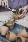 Primer plano de la persona plantando suculentas en grava en macetas de terracota . - foto de stock