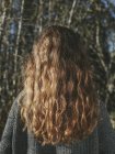 Vista trasera de la chica adolescente con el pelo castaño ondulado largo de pie al aire libre - foto de stock