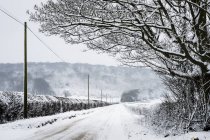 Paisaje invernal con carretera rural bordeada de setos cubiertos de nieve con árboles en la colina en la distancia . - foto de stock