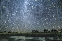 Star trails in sky at night on bank of river with fireflies trails over water, Greater Kruger National Park, África . — Fotografia de Stock