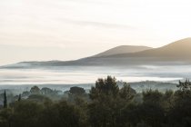Panorama nebbioso con alberi e colline in lontananza . — Foto stock
