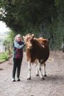 Молода жінка з коровою Гернсі стоїть на сільській дорозі.. — стокове фото