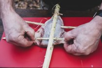 High angle close up of person preparing fish on wooden skewer for grilling. — Stock Photo
