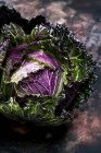 Still life of fresh round green savoy cabbage with purple and red leaves. — Stock Photo
