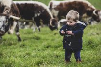 Kleiner Junge steht auf der Weide mit englischen Langhorn-Kühen im Hintergrund. — Stockfoto