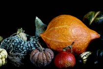 Close-up of variety of freshly harvested pumpkins on black background. — Stock Photo